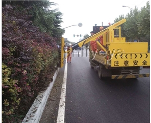 綠籬修剪機供應商