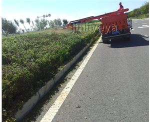 綠籬修剪機廠家